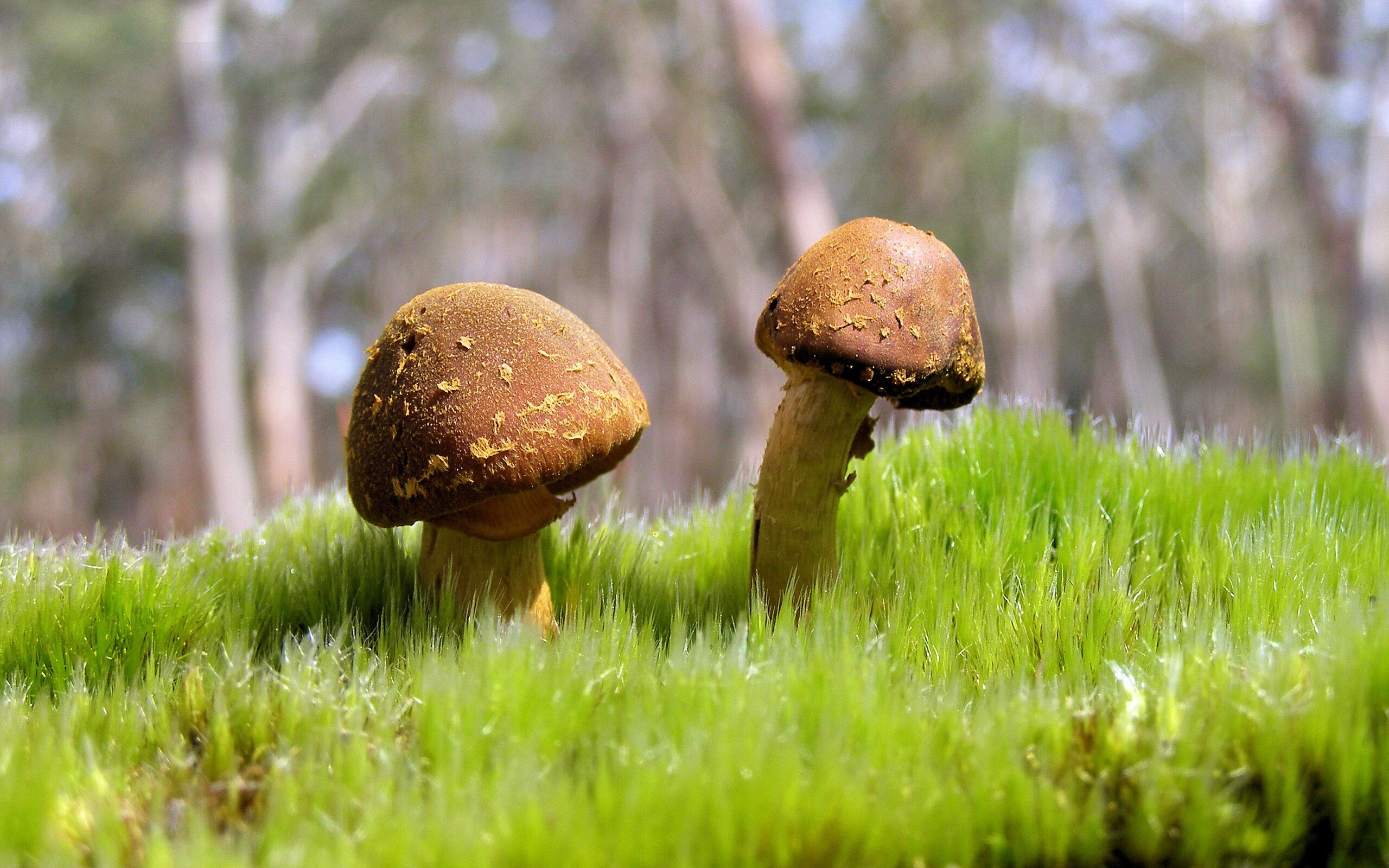 世界举重科研论坛：生物力学助推动作效率优化，举重运动员的生理学特点